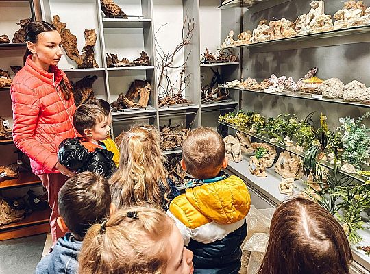 Wizyta w sklepie zoologicznym i w Bibliotece Miejskiej
