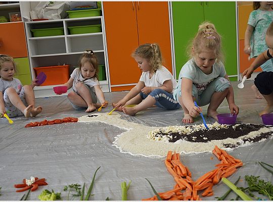 Sensoplastyka®