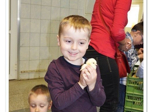 Wycieczka do Wylęgarni Drobiu