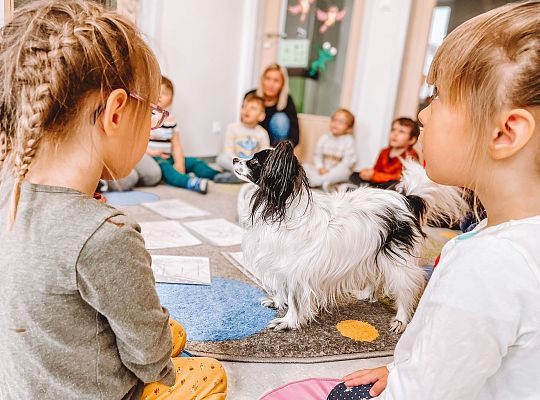 dogoterapia